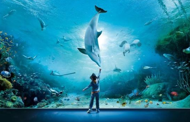 Aquarium of Genoa