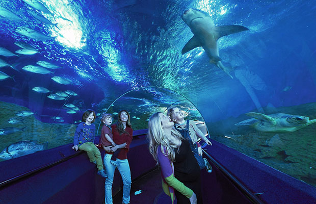 AQWA The Aquarium Of Western Australia