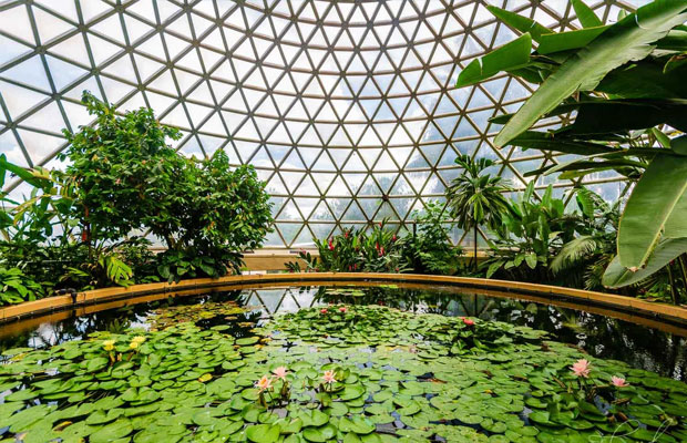 Brisbane Botanic Gardens
