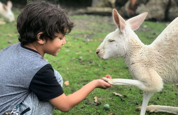 Caversham Wildlife Park