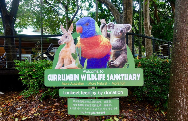 Currumbin Wildlife Sanctuary