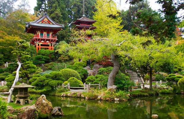 Japanese Tea Garden