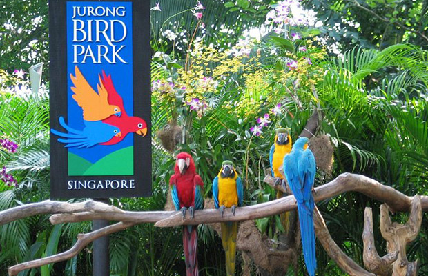 Jurong Bird Park in Singapore