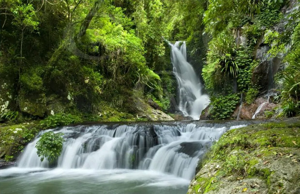 Lamington National Park