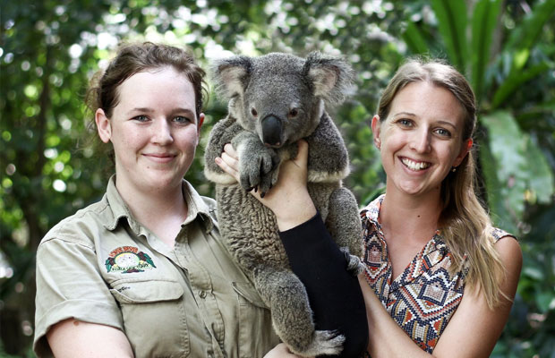 Lone Pine Koala Sanctuary