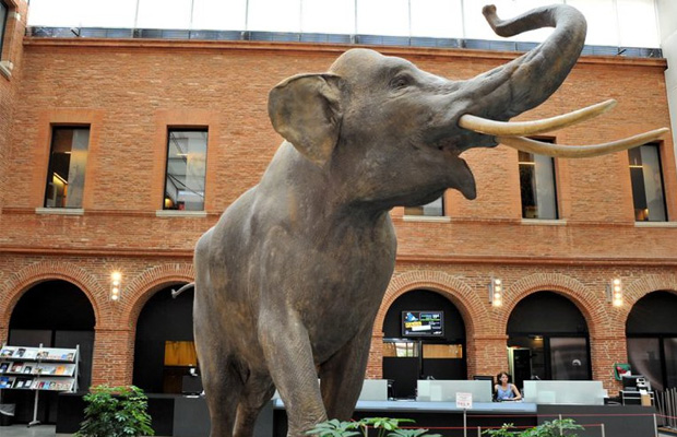 Muséum de Toulouse