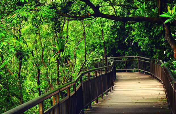 National Parks Board in Singapore