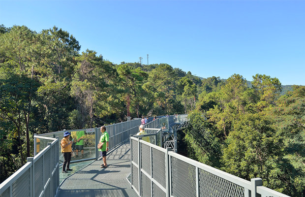 Queen Sirikit Botanic Garden