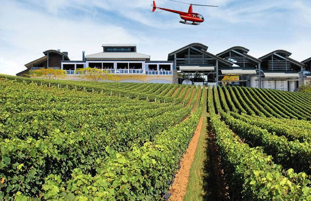 Sirromet Wines