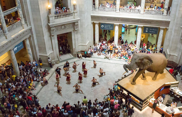 Smithsonian National Museum of Natural History in USA