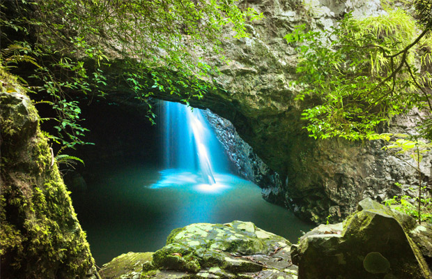 Springbrook National Park