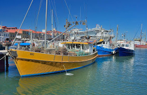 Sullivans Cove
