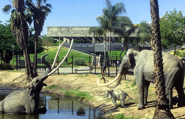 The La Brea Tar Pits and Museum in USA