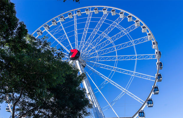 The Wheel of Brisbane