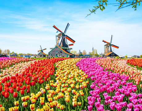 Netherlands