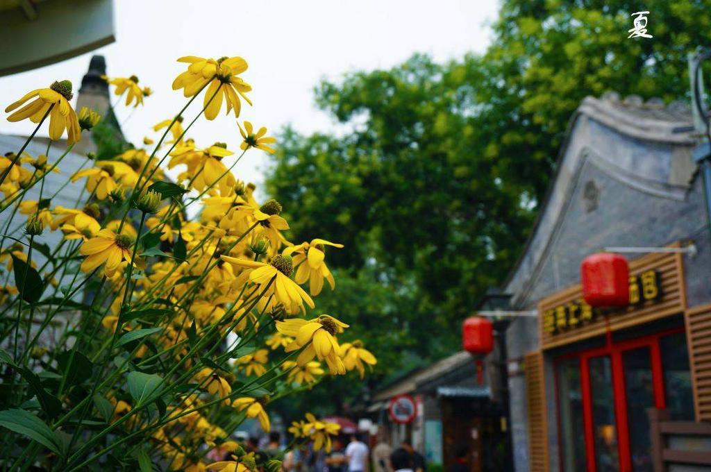 Beijing East Hotel (The Forbidden City, Drum Tower)