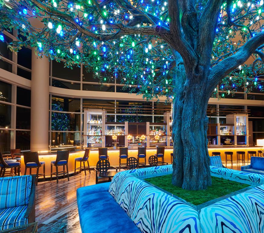 Fairmont Austin