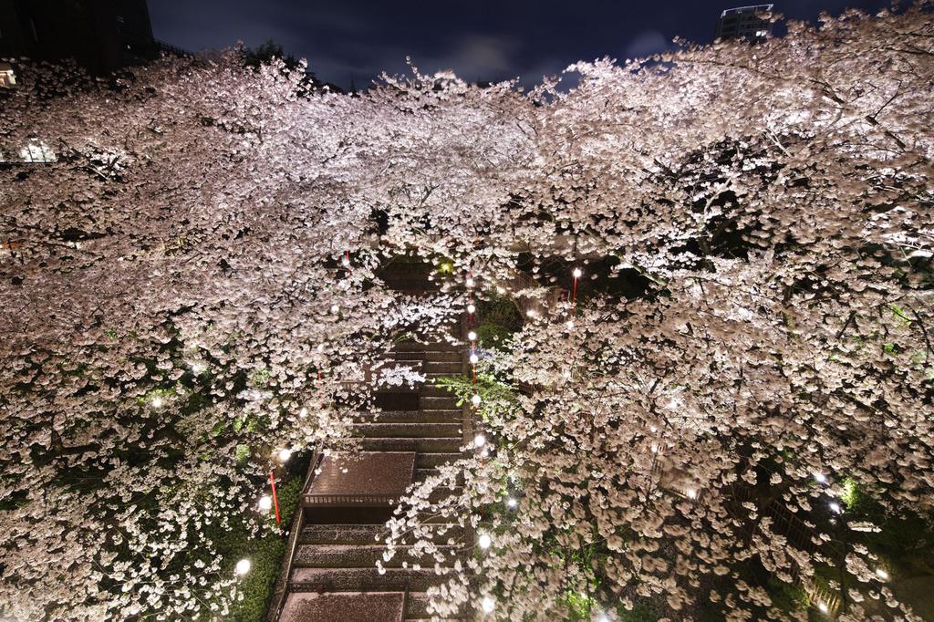 Grand Prince Hotel Takanawa Hanakohro