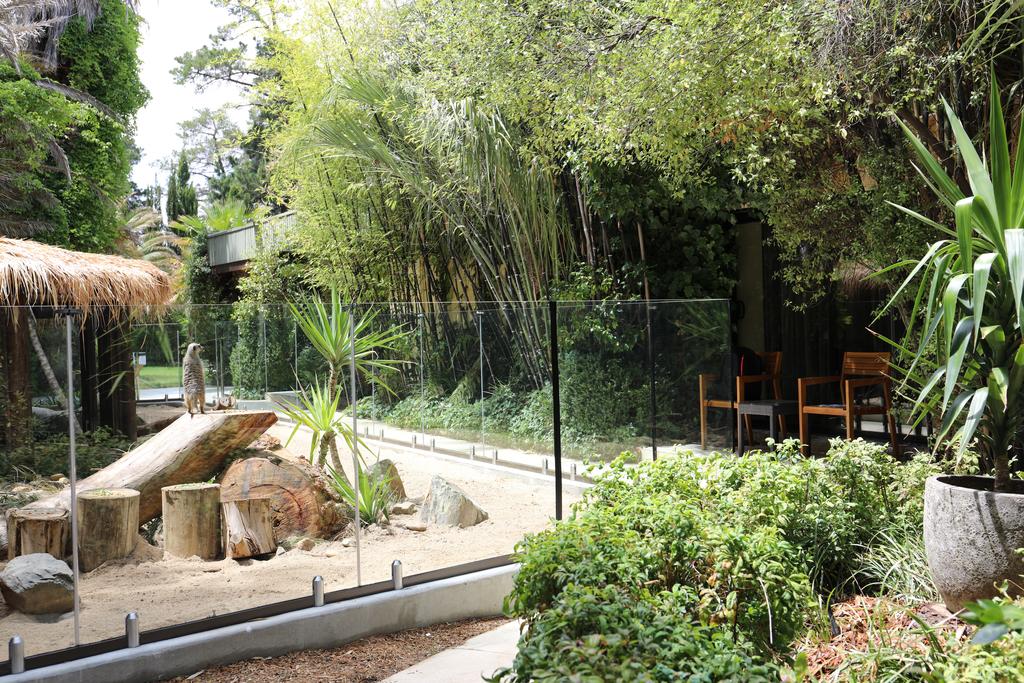 Jamala Wildlife Lodge