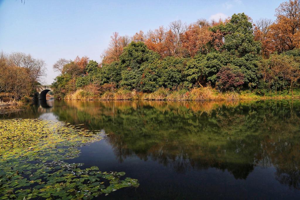 Hangzhou West Lake Lake YI Tong Intelligent Homestay