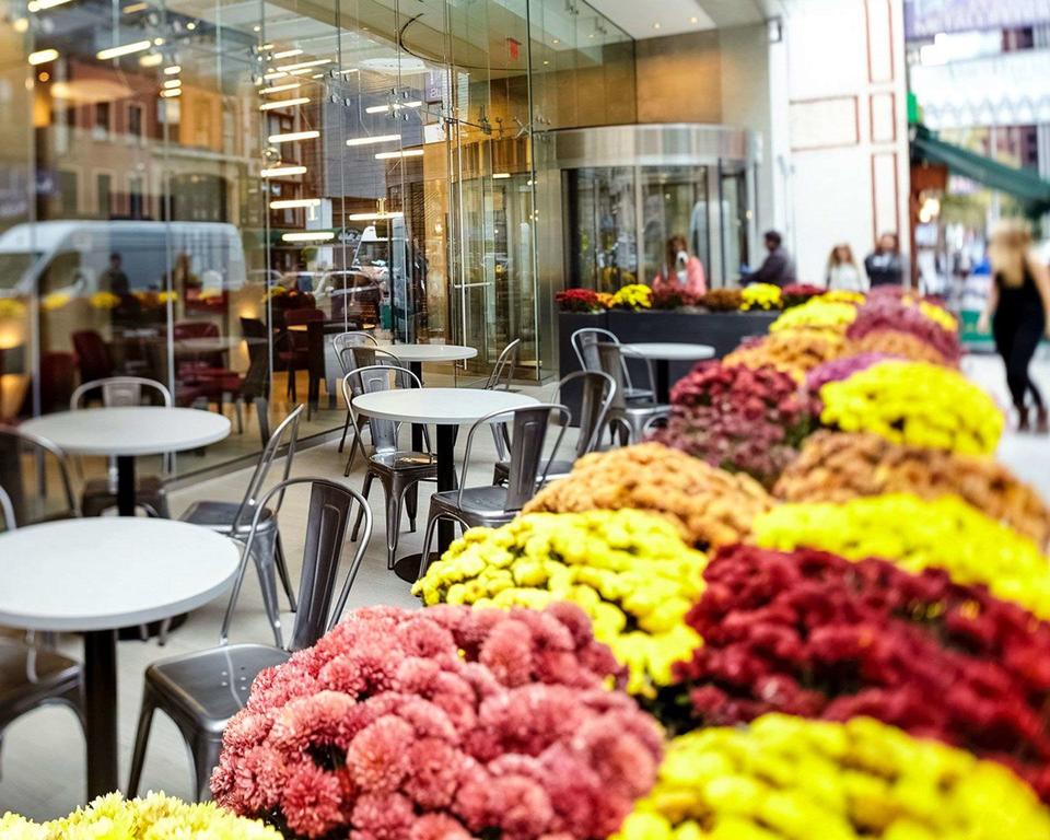 Cambria Hotel New York - Times Square