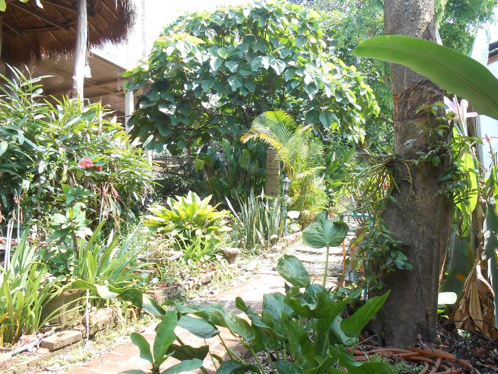 Taidam Guesthouse
