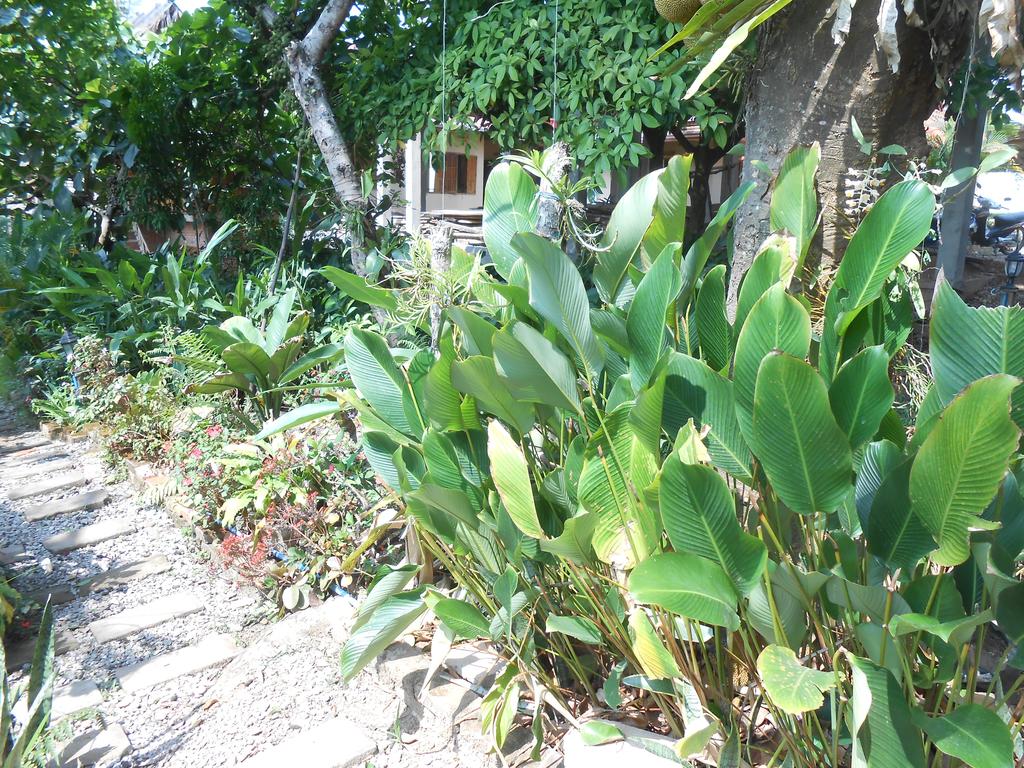 Taidam Guesthouse