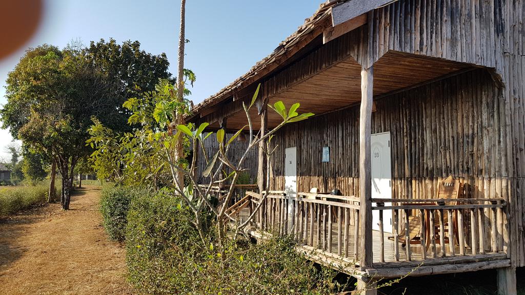 Dream resort farm