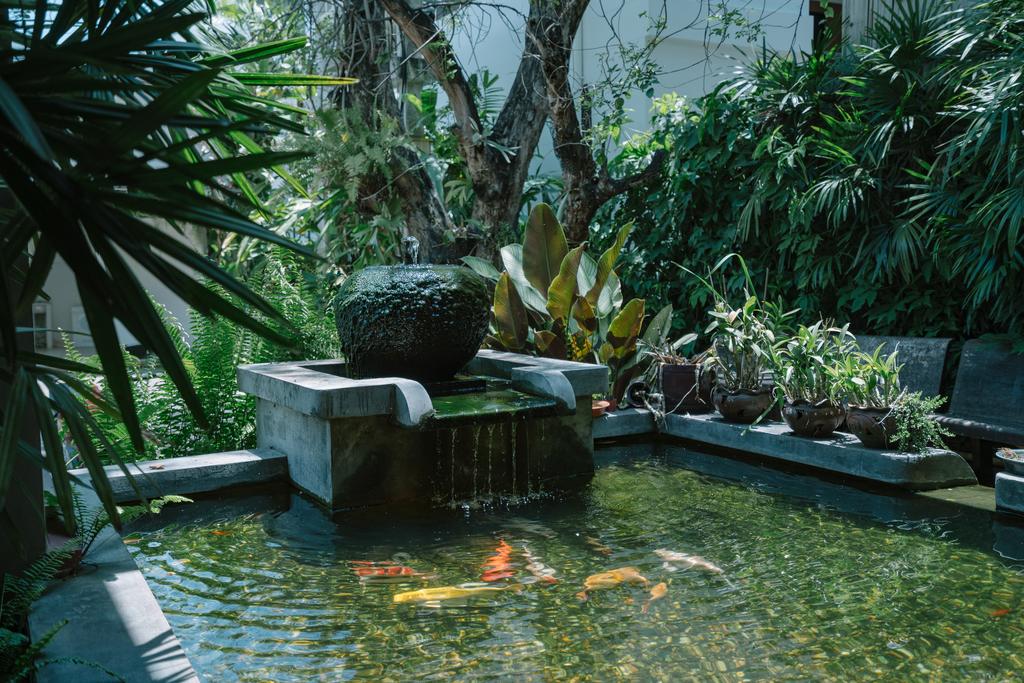 The Opium Chiang Mai