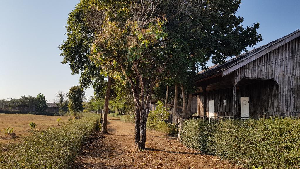 Dream resort farm