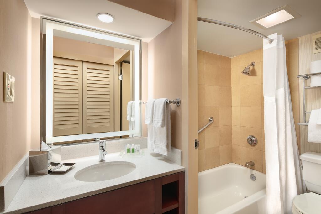 Holiday Inn Austin -Town Lake