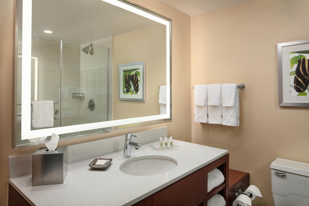 Holiday Inn Austin -Town Lake