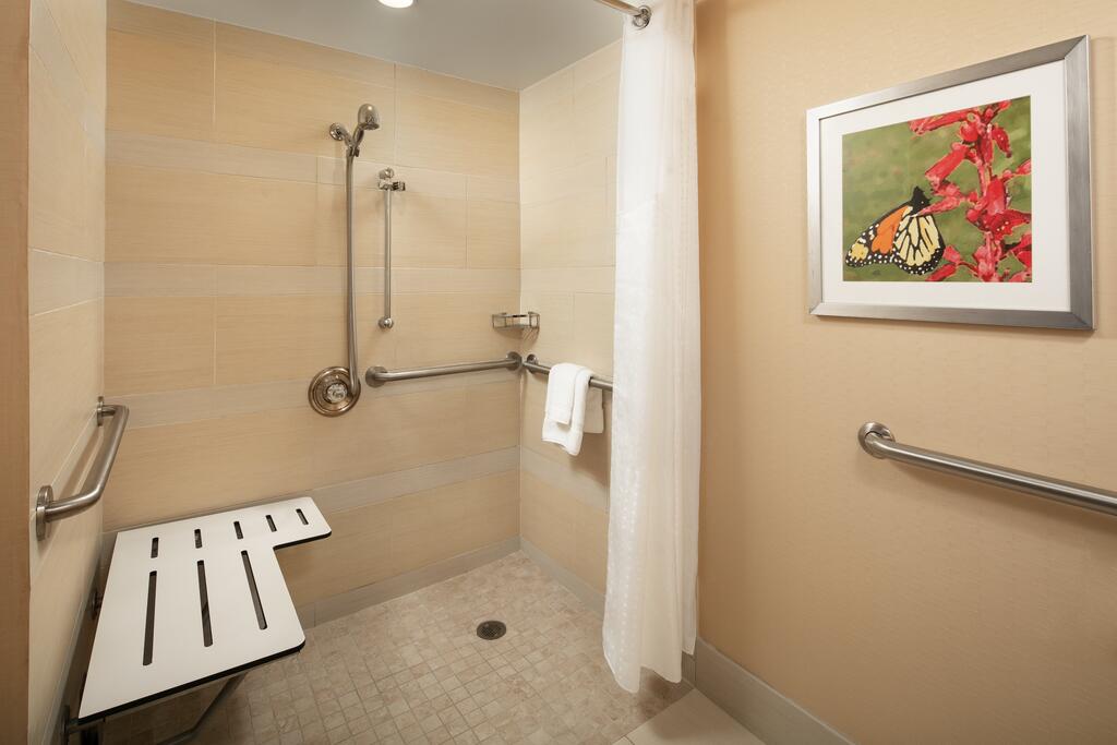 Holiday Inn Austin -Town Lake