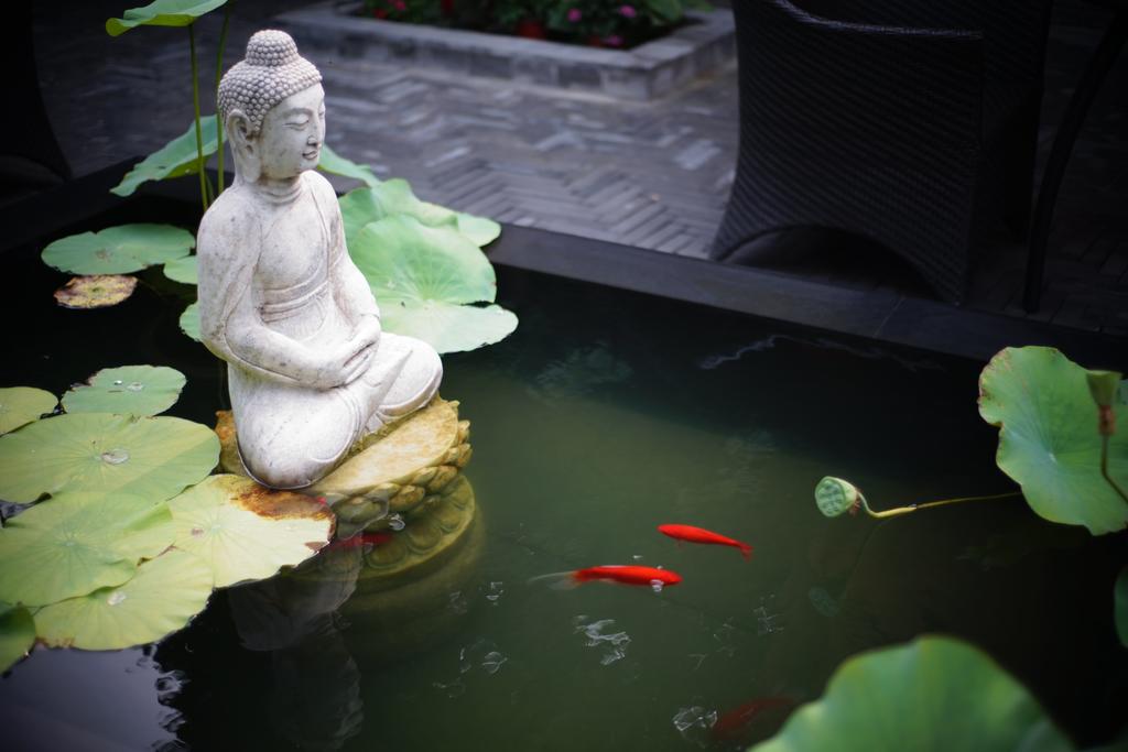 Hotel Cote Cour Beijing