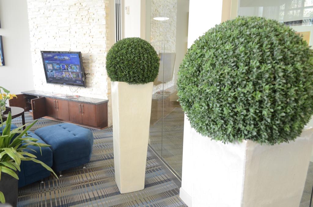Domain at CityCentre