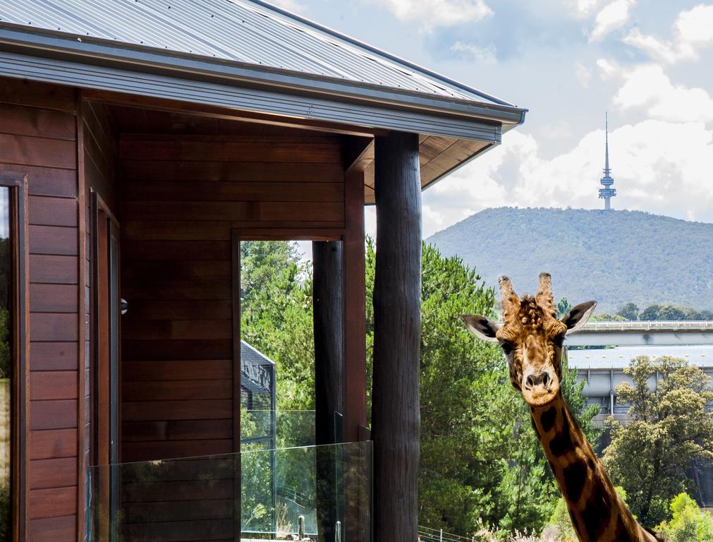 Jamala Wildlife Lodge