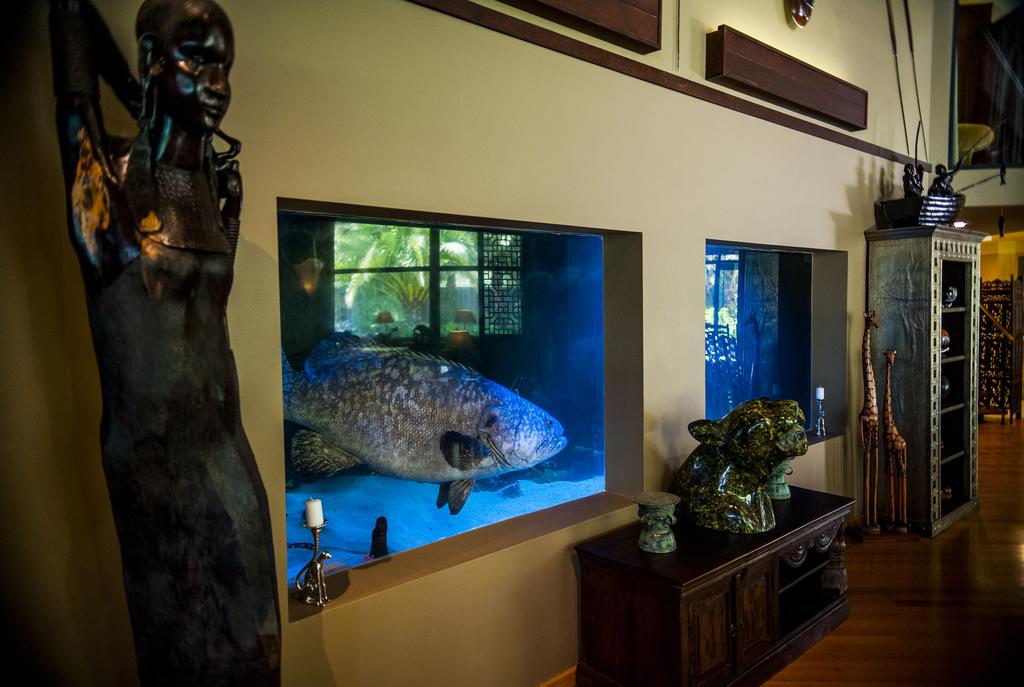 Jamala Wildlife Lodge